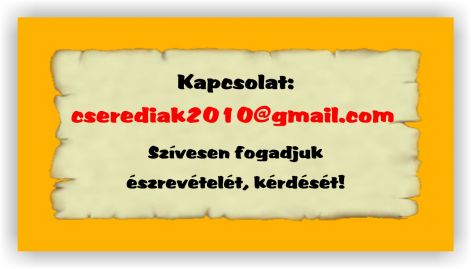 kapcsolat2_jpg.jpg